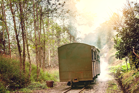 Steam narrow-gauge trainの写真素材