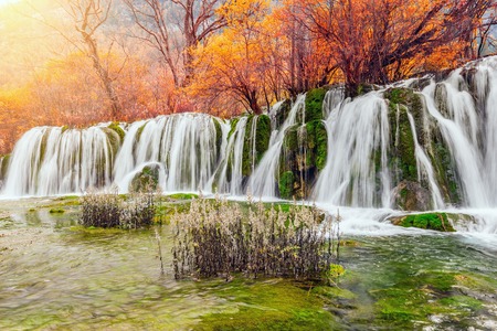 Autumn view of the waterfall with pure water at sunrise time. (Jiuzhaigou nature reserve) Jiuzhai Valley National Park, China.の写真素材