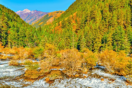 Autumn view of Pearl Shoals with pure water. Jiuzhaigou nature reserve, Jiuzhai Valley National Park, Chinaの写真素材
