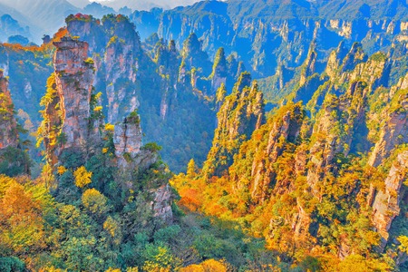 Colorful cliffs in Zhangjiajie Forest Park.の写真素材