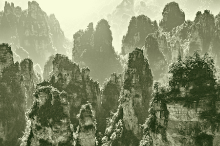 Zhangjiajie Forest Park at sunrise time. China.の写真素材