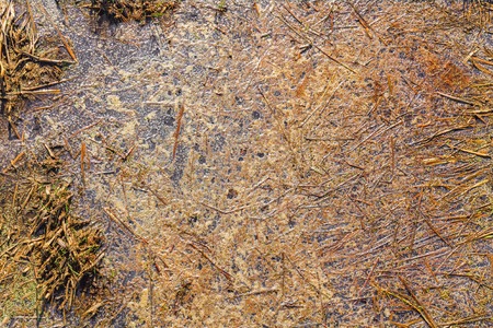 Dirty colorful water surface of the lake.