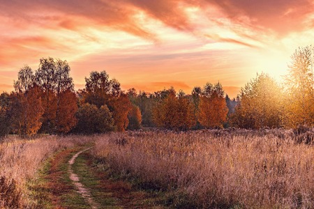Autumn view of the path by the meadow at sunset time.の写真素材