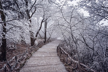 Winter road view in Huangshan National park. Chinaの写真素材