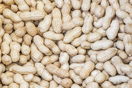 Peanuts in the box inside of the shop.