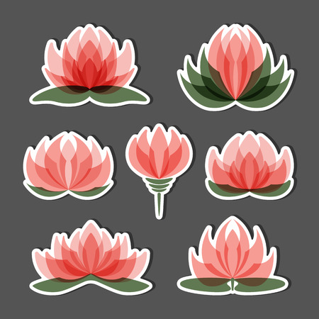 Set of lotus flowers isolated on black background.のイラスト素材