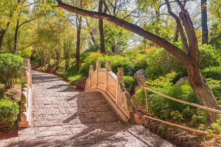 Autumn view of the city park. Yunnan province. Lijiang. China.の写真素材