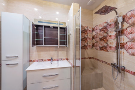 Moscow, Russia - December 21, 2018: Bathroom interior with sink and shower stall.のeditorial素材