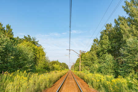 Railway track in the forest at evening summer time.の写真素材