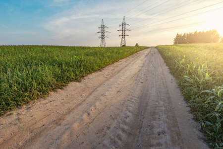Road by the field at summer sunset time.の写真素材