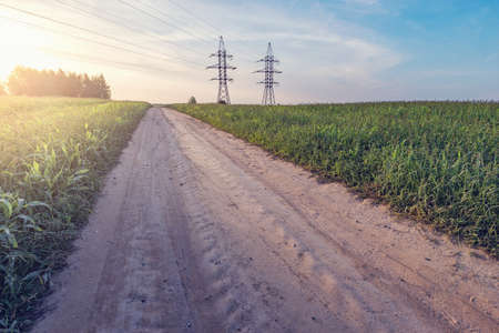 Road by the field at summer sunset time.の写真素材