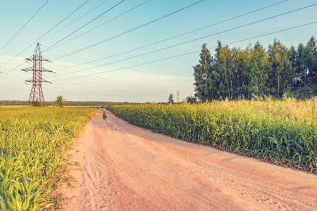 Road by the field at summer sunset time.の写真素材