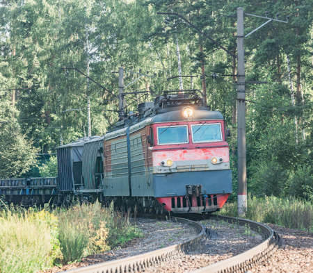 Freight train moves by the forest at summer day time.の写真素材