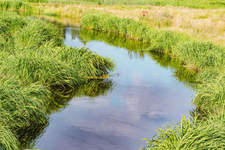 View of the river at summer day time.の写真素材