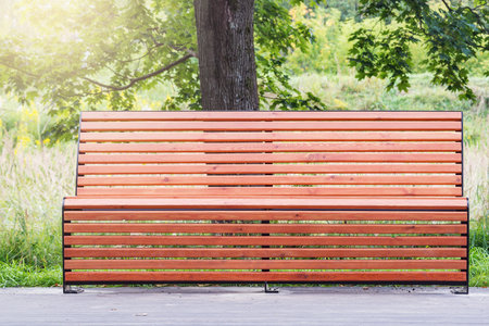 Wooden bench in the city park at sunset time.の写真素材