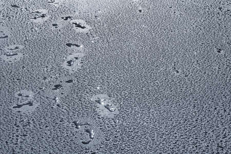 Water drops on the new asphalt road surface.の写真素材