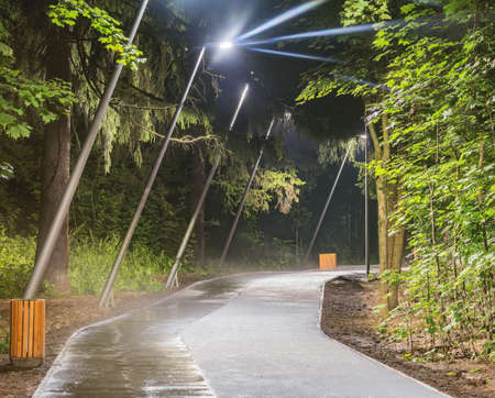 Asphalt road in the city forest at rainy evening time.の写真素材