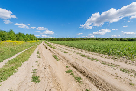 Road by the field at summer day time.の写真素材