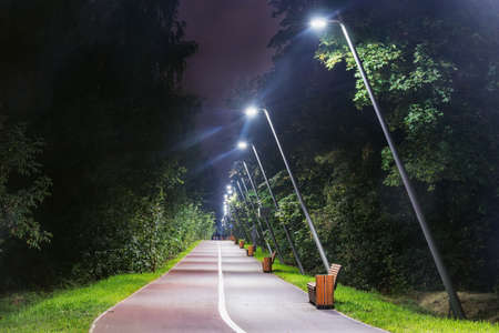 Asphalt road in the city forest at rainy evening time.の写真素材