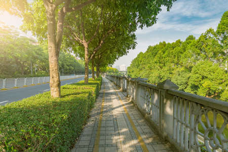 Stone path aling the city park. Shenzhen. China.の写真素材