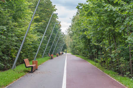Asphalt road in the summer city park.の写真素材