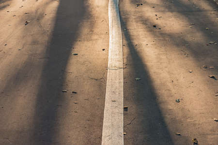 Shadows from the trees on the asphalt road surface.の写真素材