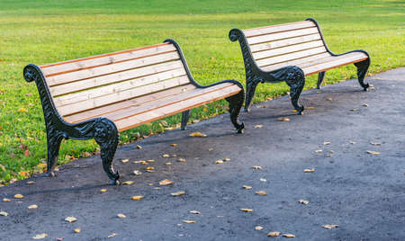 Wooden benches in the city park at sunset time.の写真素材