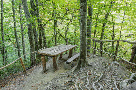Place for the rest by the mountain forest trail.の写真素材