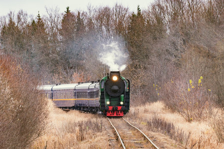 Steam train moves at autumn day time.の写真素材