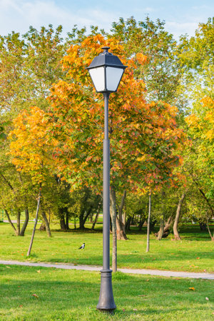 Lantern in the autumn city park at sunset.の写真素材