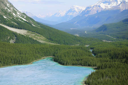 Peyto lake at spring morning. Alberta. Canada.の写真素材