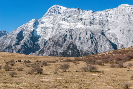 Mountain view at day time by Lijiang. Yunnan province. China.の写真素材