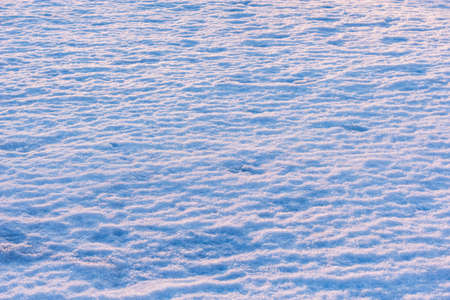 Melting snowdrift surface at spring sunset time.の写真素材