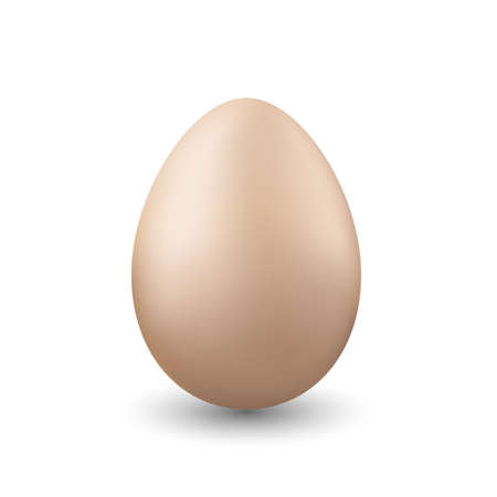 One chicken egg on white background. Vector illustration.のイラスト素材