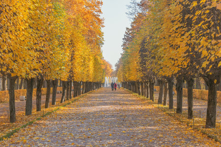 People walk in the city park at autumn morning time.の写真素材