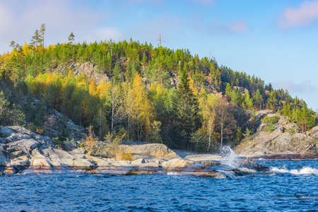 Pine trees on the cliffs of Lake Ladoga at autumn evening. Republic of Karelia. Russia.の写真素材