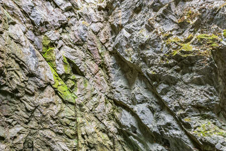 Wet cliff surface.の写真素材