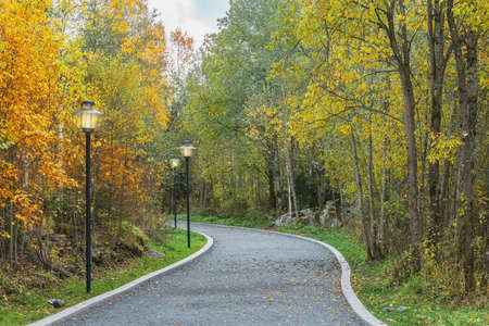 Path in the mountain city park.の写真素材