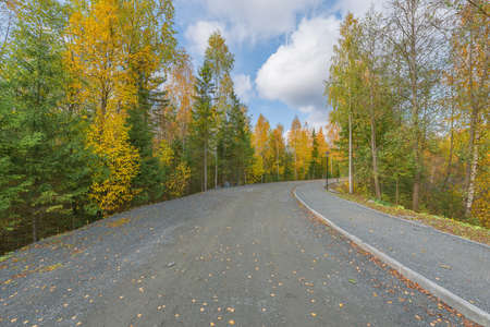 Road in the city park at autumn evening. Karelia. Russia.の写真素材