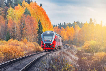 Passenger diesel local train moves at autumn sunset time. Karelia. Russia.の写真素材