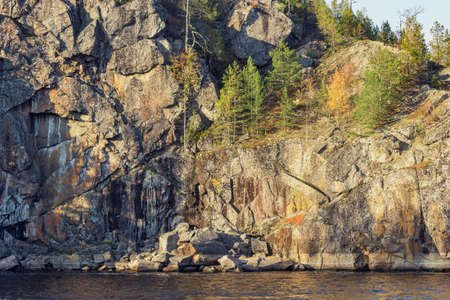 Pine trees on the cliffs of Lake Ladoga at evening time. Republic of Karelia. Russia.の写真素材