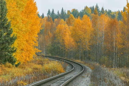 Long railway line at autumn day time.の写真素材