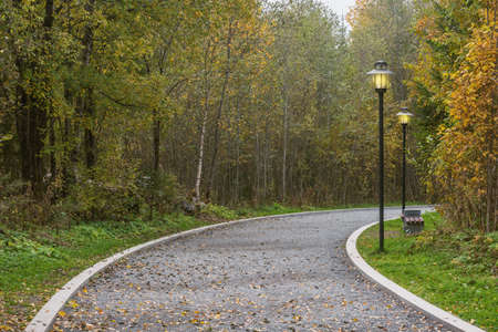 Footpath in the city park at autumn evening.の写真素材