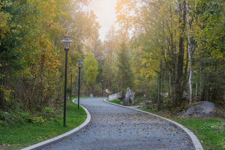 Footpath in the city park at autumn evening.の写真素材