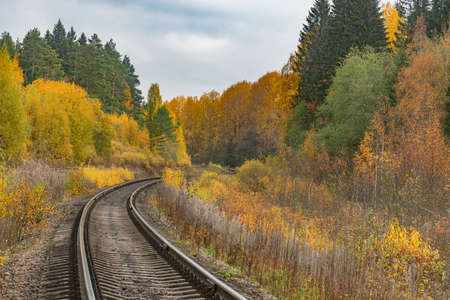 Long railway line at autumn day time.の写真素材