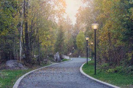 Footpath in the city park at autumn evening.の写真素材