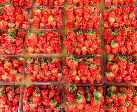 Fresh strawberry on the fruit market showcase.の写真素材