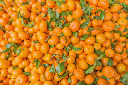 Fresh mandarin orange background on the fruit market.の写真素材