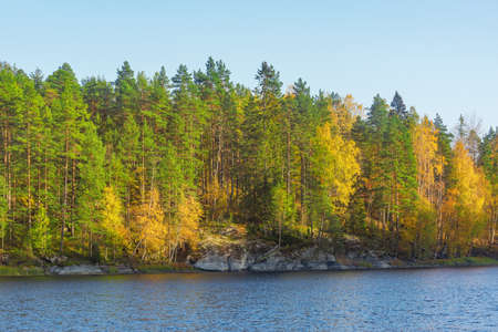 Trees on the cliffs of Lake Ladoga at autumn evening. Republic of Karelia. Russia.の写真素材