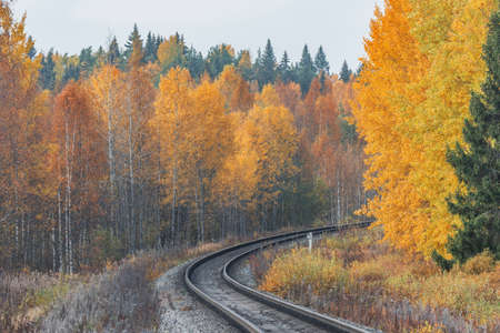 Long railway line at autumn day time. Russia.の写真素材